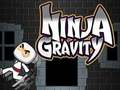 Mäng Ninja gravitatsioon  Internetis