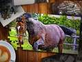 Mäng Pusle Horses Edition  Internetis