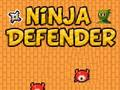 Mäng Ninja kaitsja  Internetis