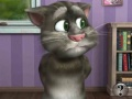 Mäng Talking Tom Cat 2  Internetis