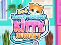 Mäng Doc HoneyBerry Kitty kirurgia  Internetis