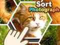 Mäng Sorteeri foto  Internetis