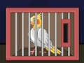 Mäng Vabastage The Cockatiel Bird  Internetis