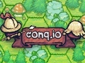Mäng Conq. io  Internetis