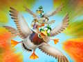 Mäng Ränne Flappy Duck  Internetis