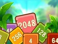 Mäng Troopilised kuubikud 2048  Internetis