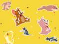 Mäng Tom ja Jerry saade Leia see!  Internetis