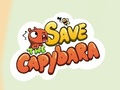 Mäng Päästke Capybara  Internetis