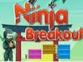 Mäng Ninja läbimurre Internetis