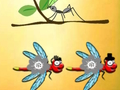 Mäng Otsige üles Dragonfly Cooper  Internetis