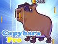 Mäng Capybara Pro Internetis
