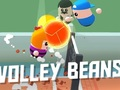 Mäng Volley oad  Internetis