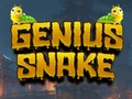 Mäng Geniaalne madu  Internetis