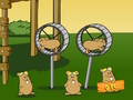 Mäng Codename Kids Next Door hamstrite lend  Internetis