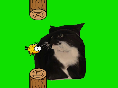 Mäng Flappy lind keerleb Oia Oia kassi  Internetis