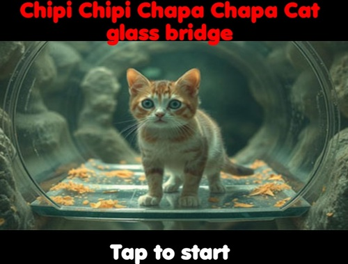 Mäng Chipi Chipi Chapa chat kassi klaasisild  Internetis