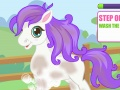Mäng Cutie poni hooldus  Internetis
