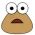 Pou võrgus