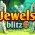 Juveelid Blitz  võrgus
